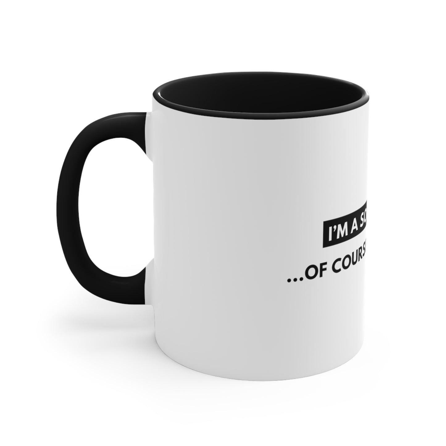 Social Worker Meme/Quote Coffee Mug, 11oz